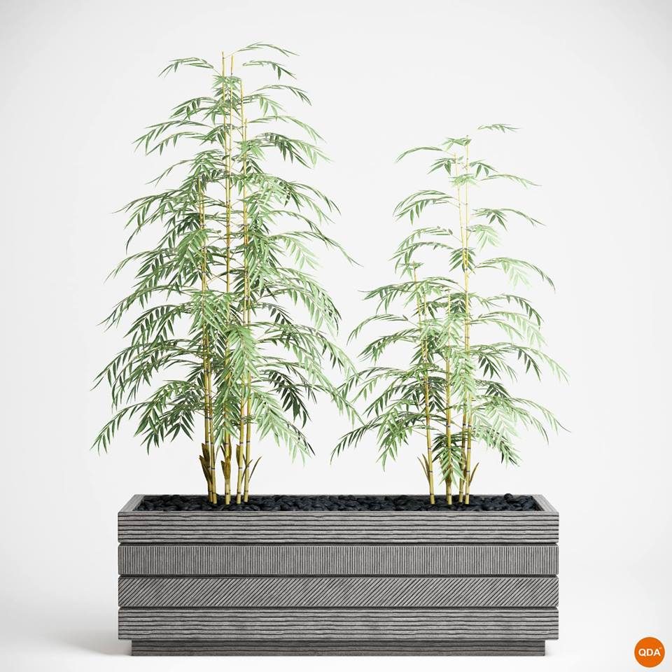 Photorealistic 3D Rendering — image 3