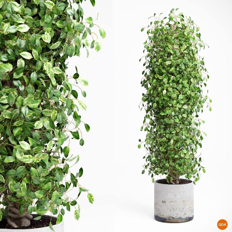 Photorealistic 3D Rendering — image 4